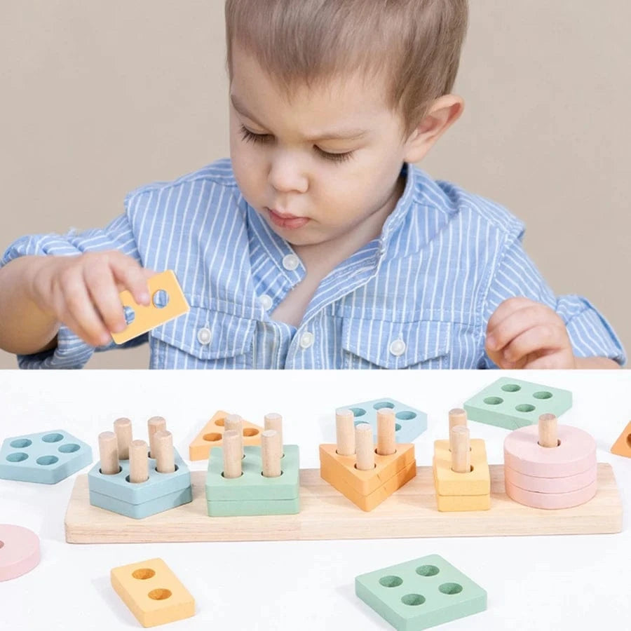Montessori Shape Sorting Set