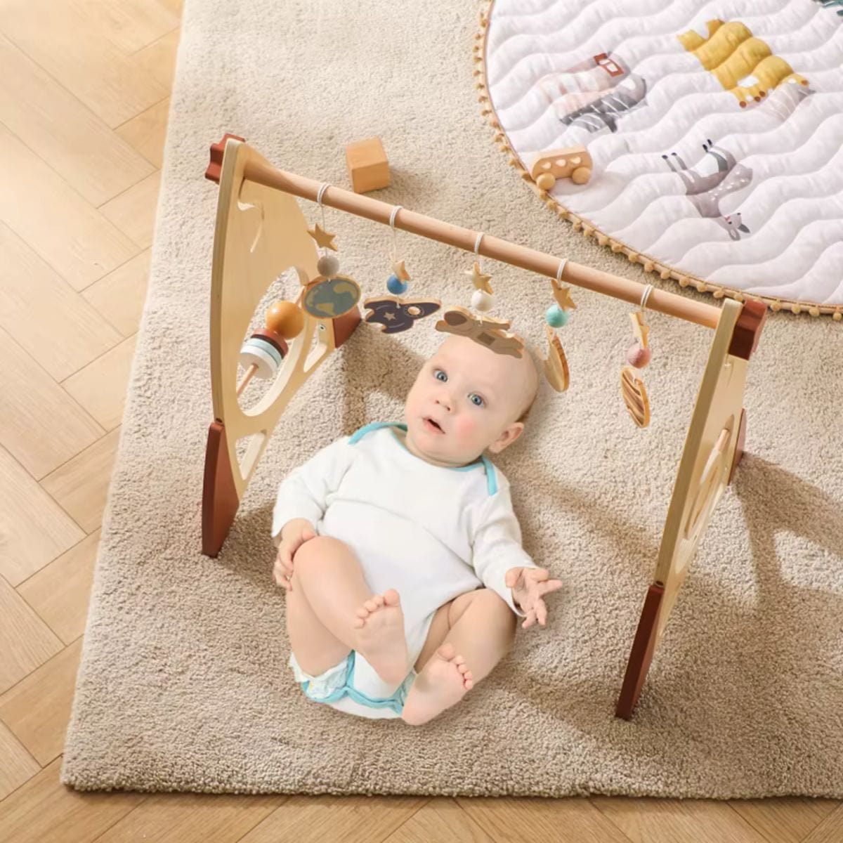 Montessori Wooden Baby Gym