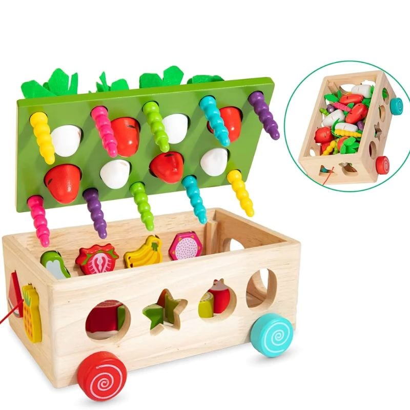 Montessori Carrot Roller
