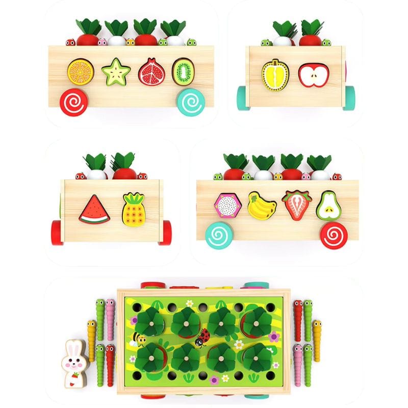 Montessori Carrot Roller