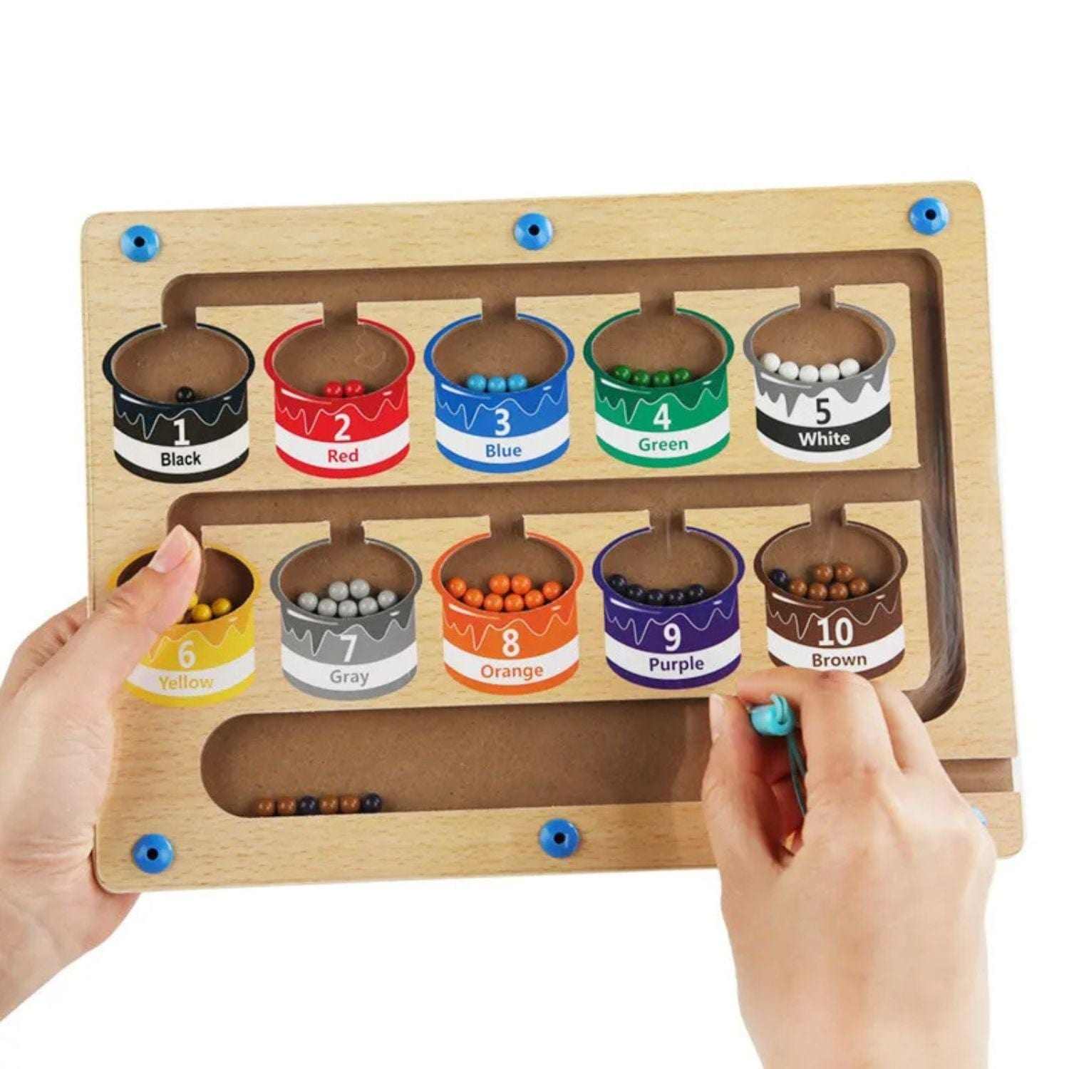 Montessori Magnetic Sorting Board