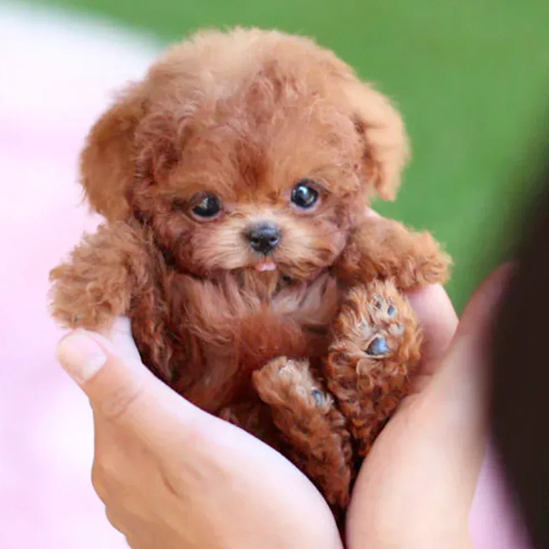 Lifelike Plush Pup With Realistic Movements For All Ages