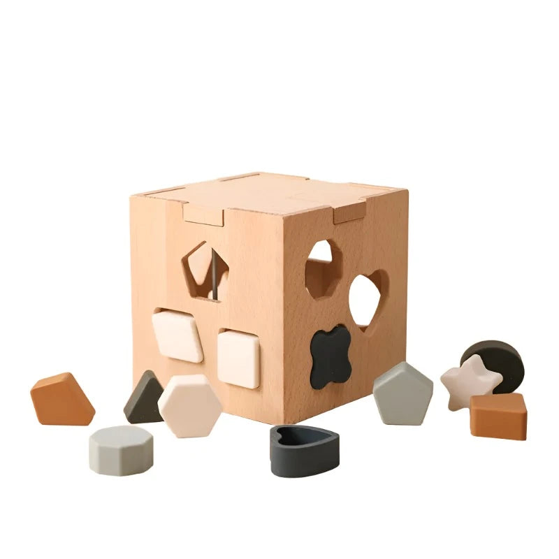 Cognitive Cascade Cubes