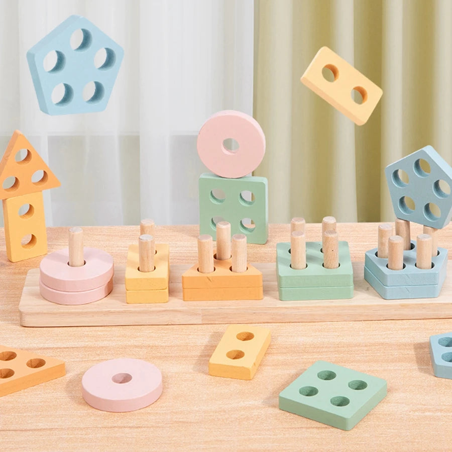 Montessori Shape Sorting Set