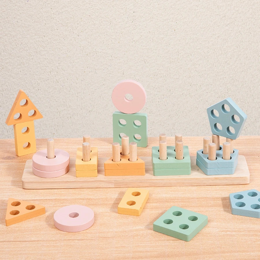 Montessori Shape Sorting Set