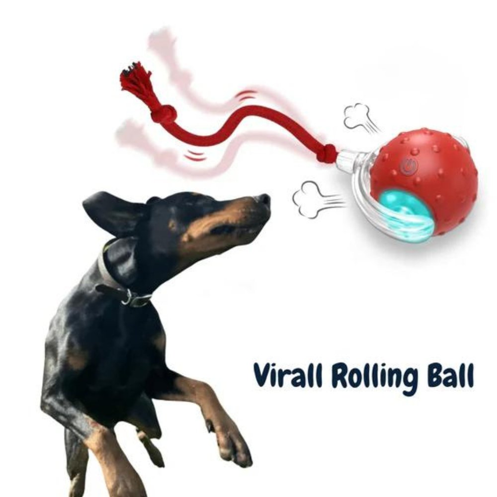 AeroPaw Rollender Ball Hundespielzeug für interaktives Spielen und Angstlinderung