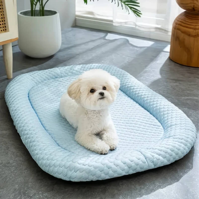 Frost Breeze Cooling Dog Bed With Temperature Regulation On Hot Days
