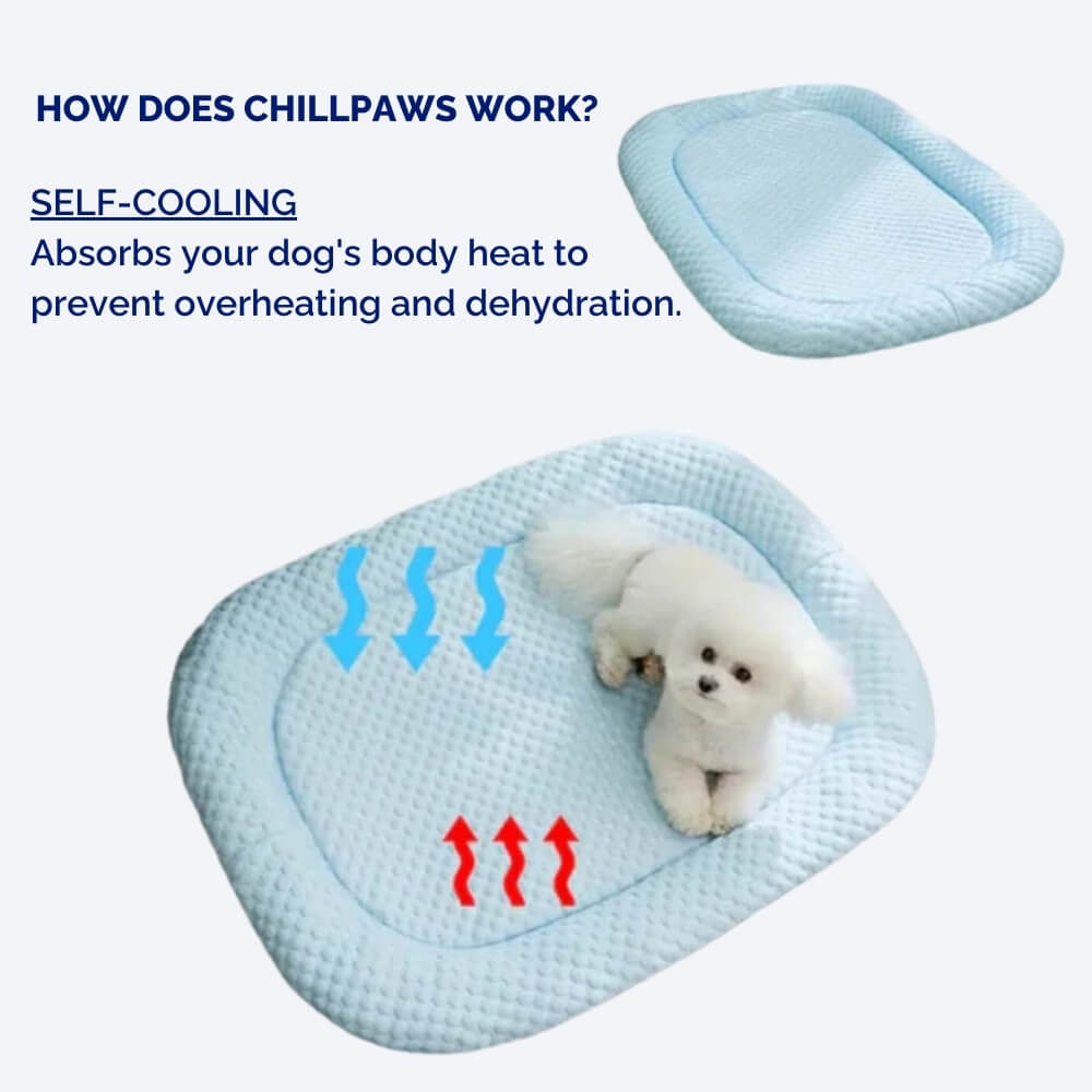 Frost Breeze Cooling Dog Bed With Temperature Regulation On Hot Days