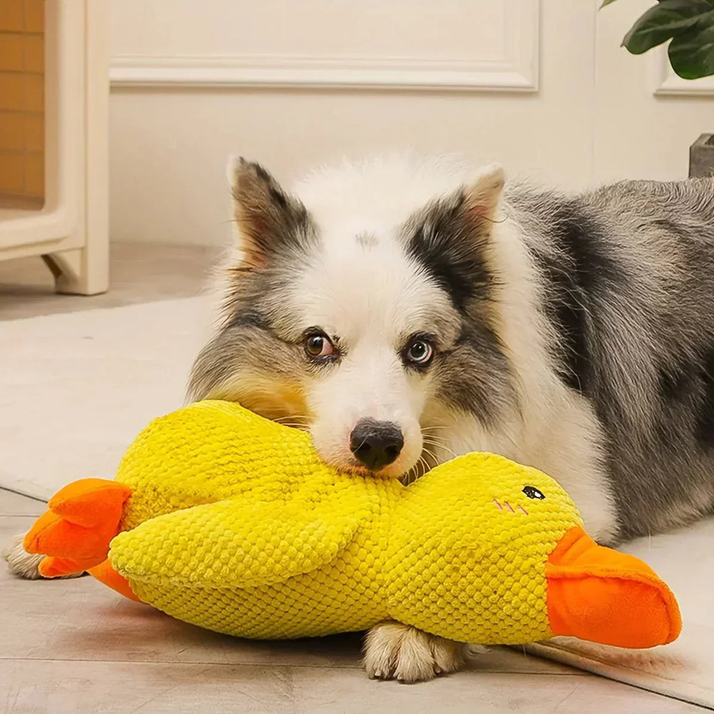 Quacker Pup Duck Toy For Dogs With Interactive Quacking Sound