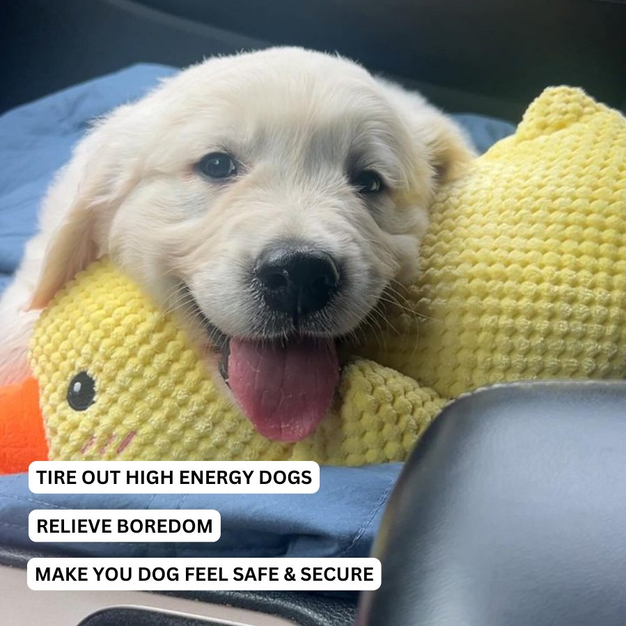 Quacker Pup Duck Toy For Dogs With Interactive Quacking Sound