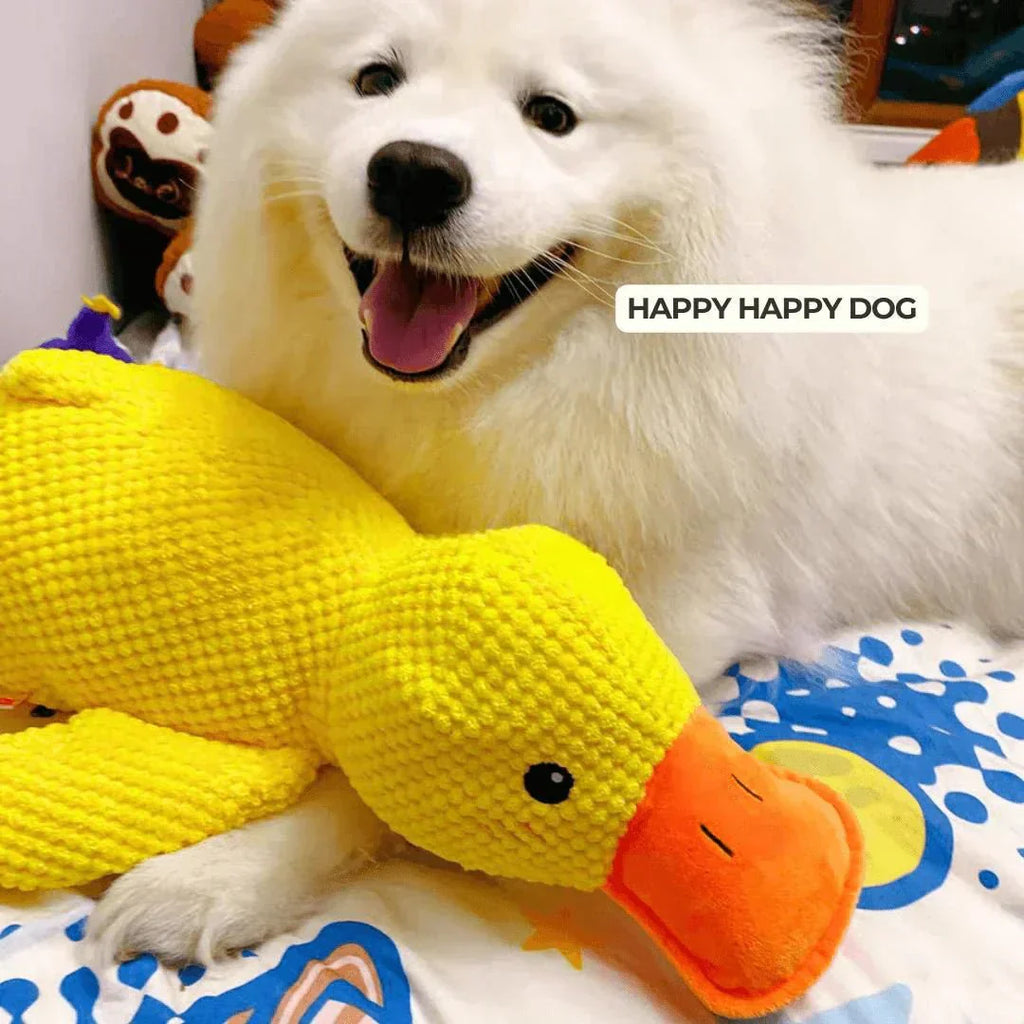 Quacker Pup Duck Toy For Dogs With Interactive Quacking Sound