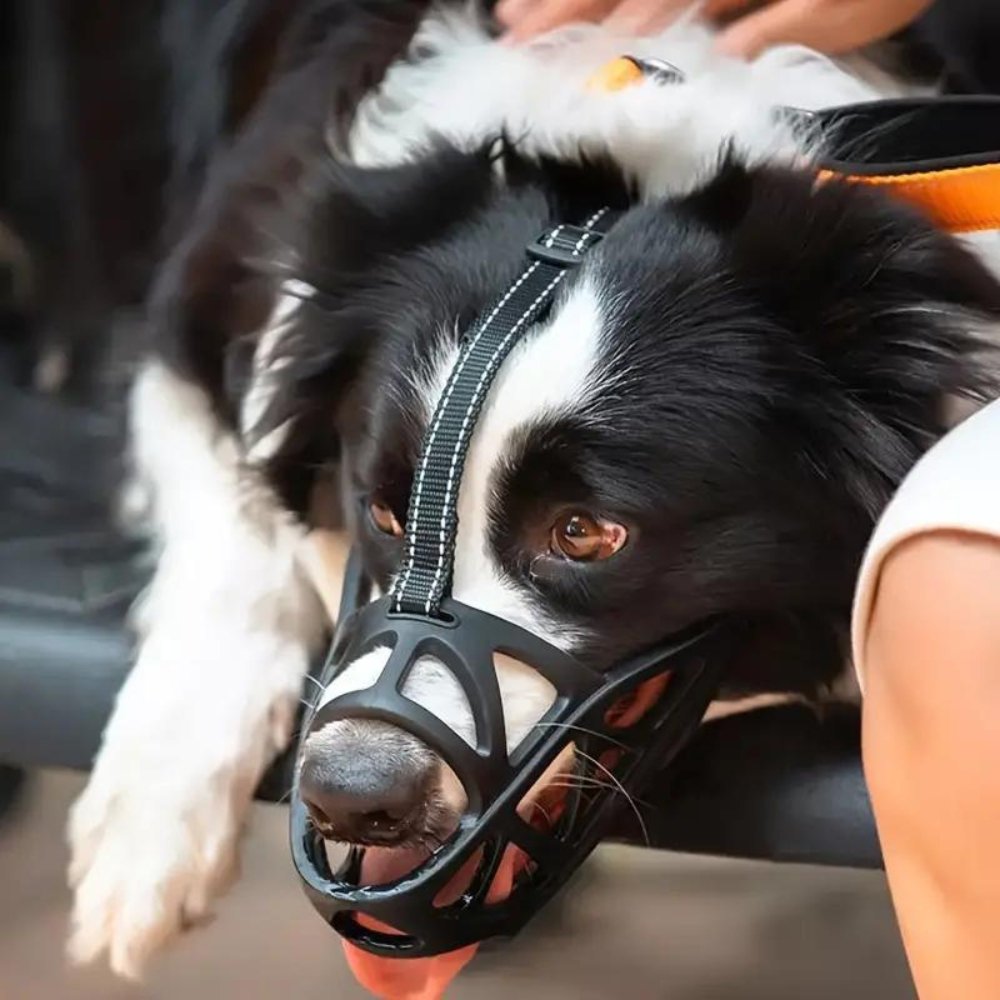 AeroGuard Breathable Dog Muzzle for Bite and Bark Control