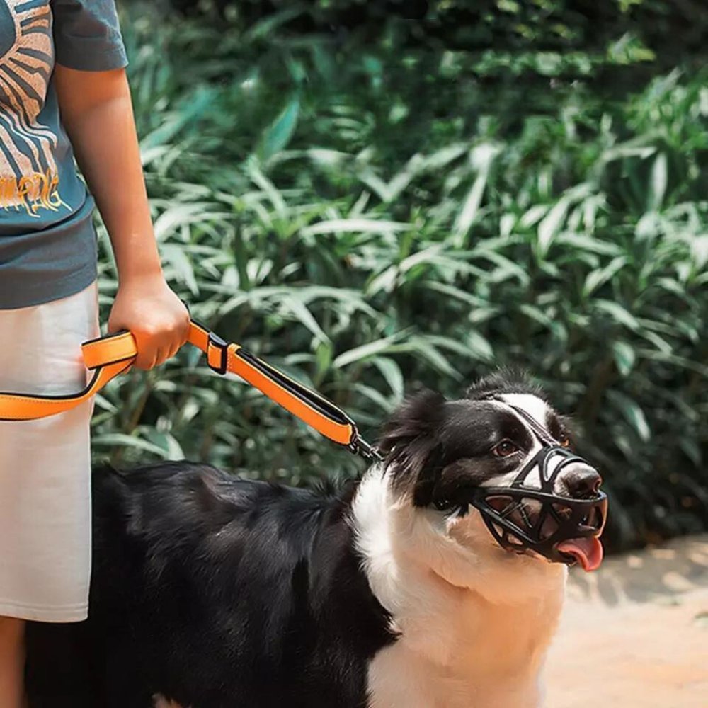 AeroGuard Breathable Dog Muzzle for Bite and Bark Control