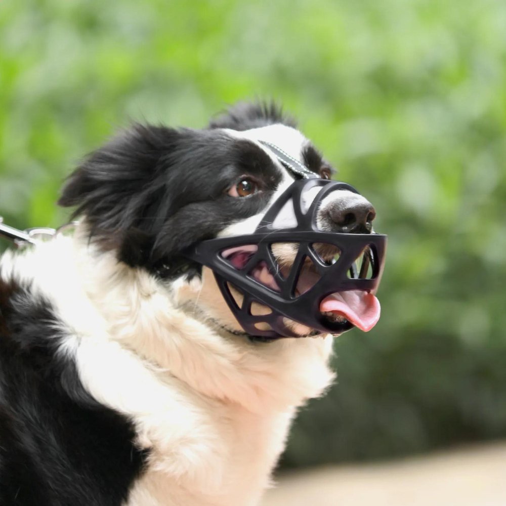 AeroGuard Breathable Dog Muzzle for Bite and Bark Control