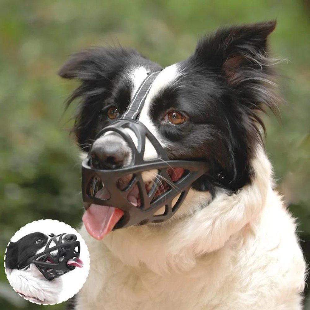 AeroGuard Breathable Dog Muzzle for Bite and Bark Control