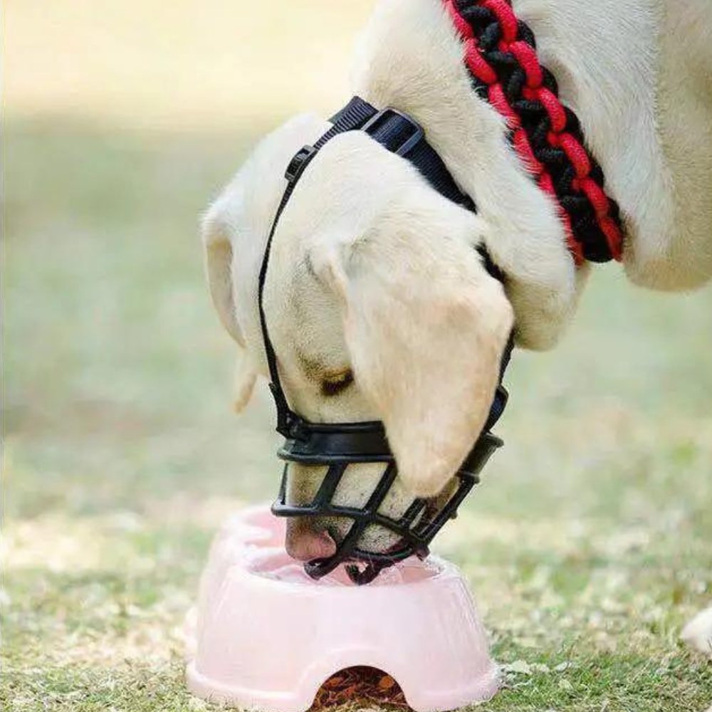 BreezeGuard Breathable Dog Muzzle With Adjustable Straps For Safe Interactions