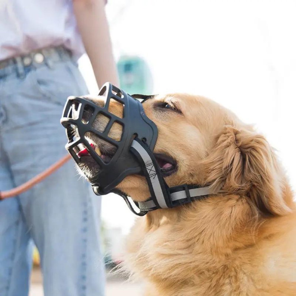 BreezeGuard Breathable Dog Muzzle With Adjustable Straps For Safe Interactions