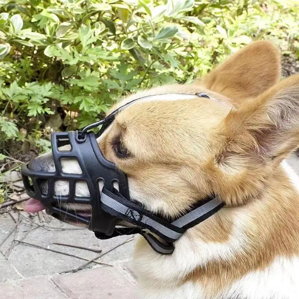 BreezeGuard Breathable Dog Muzzle With Adjustable Straps For Safe Interactions